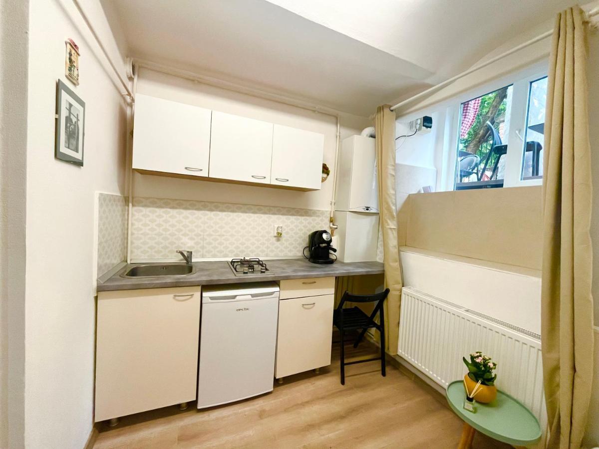 Republicii Small Central Studio Cluj-Napoca Exteriör bild